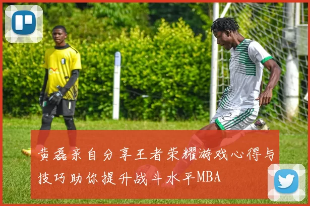 黄磊亲自分享王者荣耀游戏心得与技巧助你提升战斗水平MBA