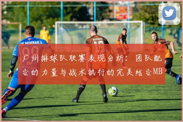 广州排球队联赛表现分析：团队配合的力量与战术执行的完美结合MBA