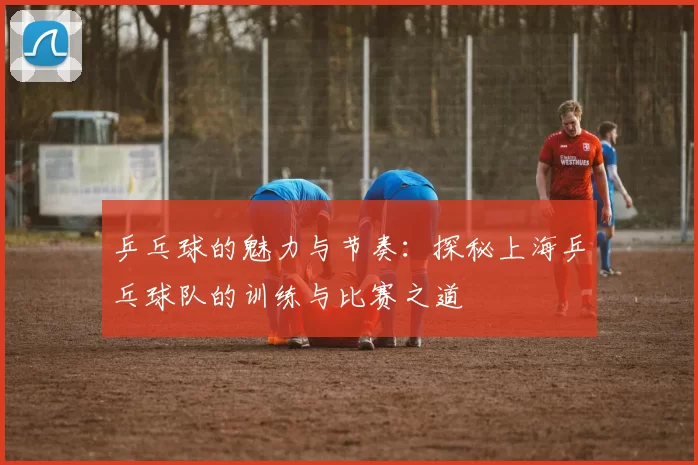 乒乓球的魅力与节奏：探秘上海乒乓球队的训练与比赛之道