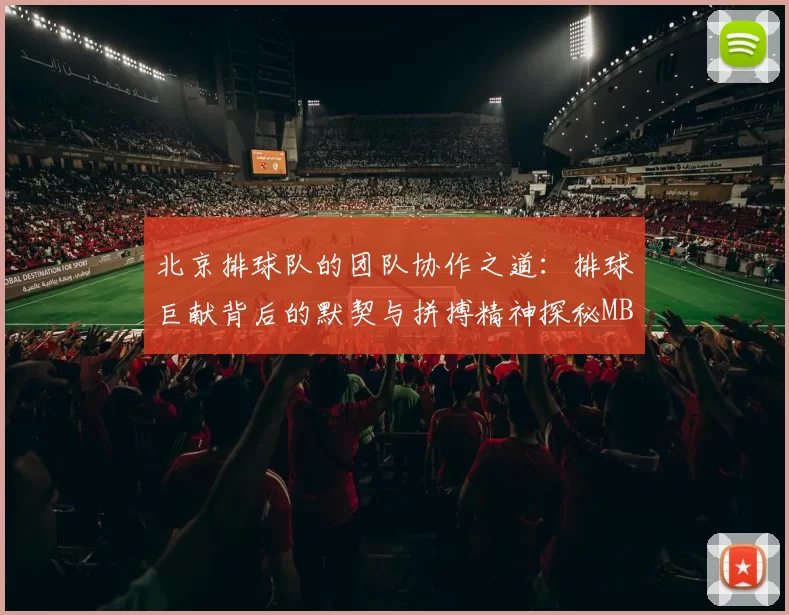 北京排球队的团队协作之道：排球巨献背后的默契与拼搏精神探秘MBA