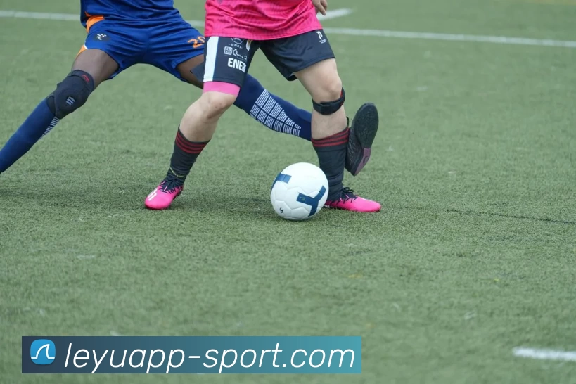 leyu平台服务体系