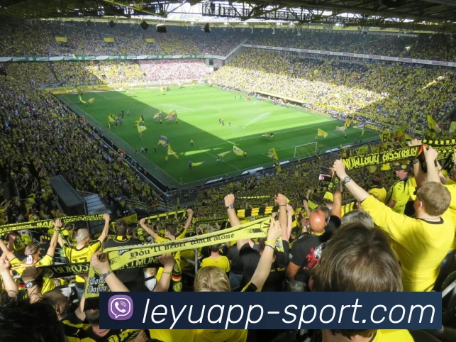 leyu平台APP 体育赛事宣传图